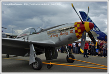 Mustang P51 Nooky Booky IV