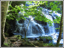 Chutes Waber Falls
