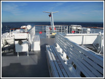 Croisière aux baleines