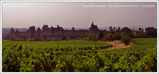 Cité de Carcassonne dans les vignes du Languedoc Roussillon