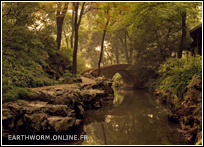 Jardin de la politique des Simples dans la brume de Suzhou
