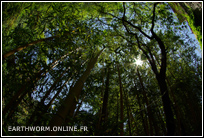 Jardin du Val Rahmeh à Menton
