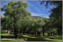 Le Parc du Pian à Menton