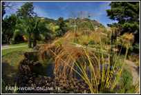 Etang au jardin du Val Rahmeh
