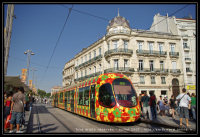 Rame fleurie de la ligne 2 - Place de la Comédie - Montpellier