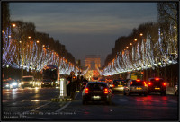 champs elysees - la nuit - Paris