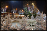 decoration sapins sur les Champs Elysées