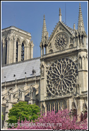 Notre Dame Paris