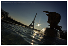 Statue de la Tête de Taureau - Trocadero - Tour Eiffel
