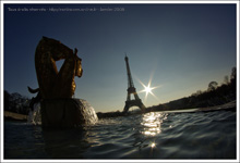 Statue des chevaux dorés - Trocadero - Tour Eiffel