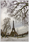 Photo panoramique de la Tour Eiffel entourée par les arbres bordant le champ de Mars