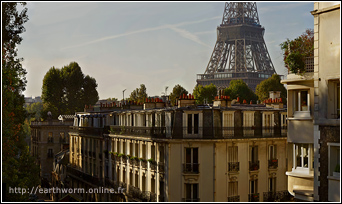 Les Toits de Paris avec vue sur la Tour Eiffel au petit matin (HD)