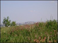 Montmartre, vu du domaine régional des buttes du Parisis