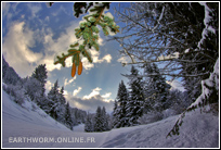 Paysage de Neige