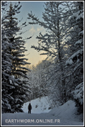 paysage de montagne en hiver