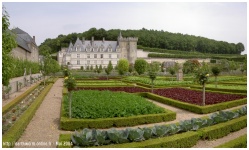 Les jardins "Renaissance"  Villandry