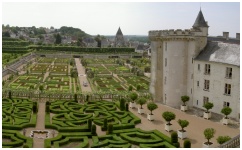 Les jardins "Renaissance" Villandry